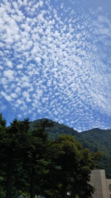 b0149071_14334169.jpg