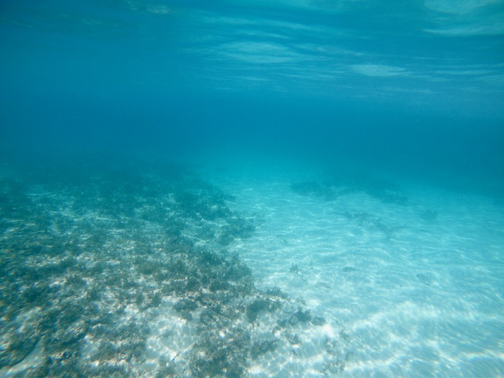 d0363878_1856407.jpg