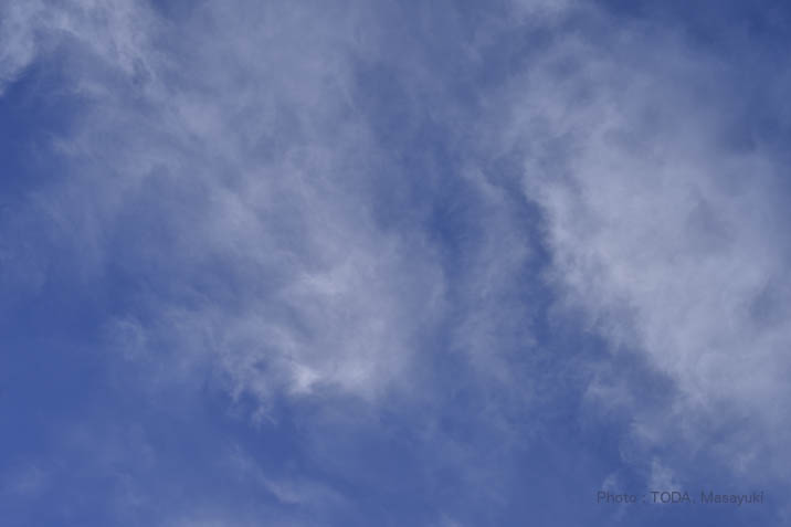 b0102780_5594633.jpg
