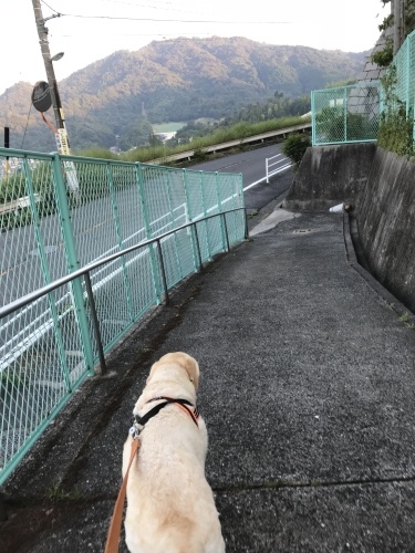 f0315081_22314408.jpeg