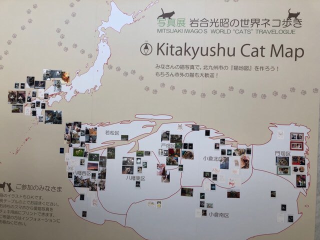 b0035391_22314853.jpeg