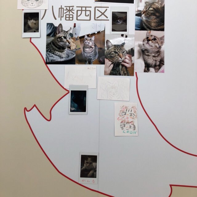 b0035391_22332416.jpeg