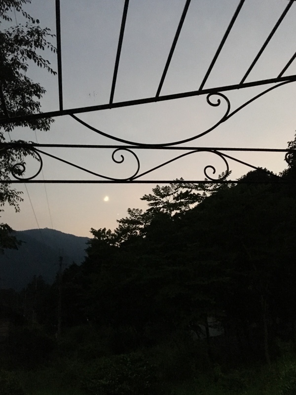 b0220002_23095445.jpeg