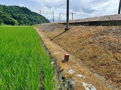 c0336902_18043337.jpg