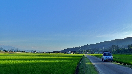 c0336902_18050184.jpg