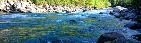 f0266202_16230331.jpg