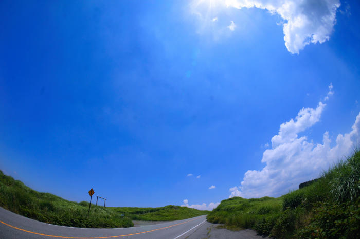 c0368903_08581664.jpg