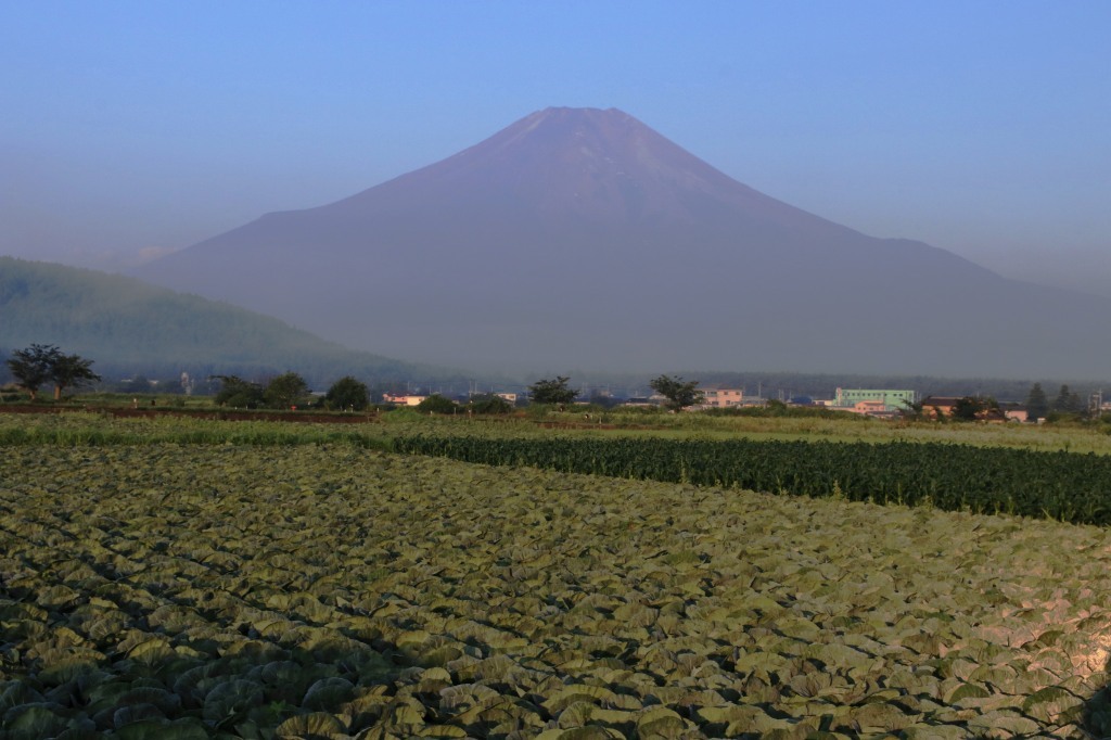 a0188405_16345692.jpg