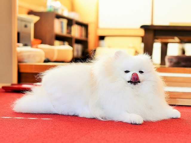 充実していますか?_d0360206_23575885.jpg