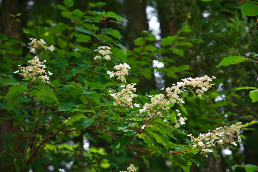 a0263109_19501552.jpg