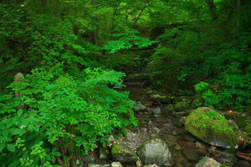 a0263109_19514564.jpg