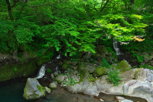 a0263109_19541021.jpg