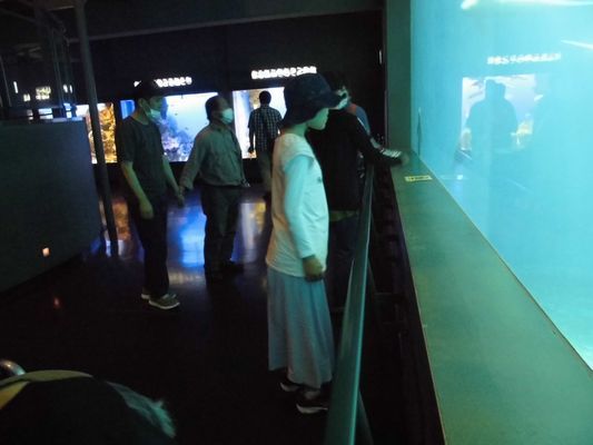 7/13　鳥羽水族館_a0154110_10342863.jpg