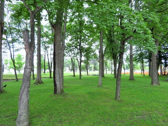 f0032812_09400910.jpg