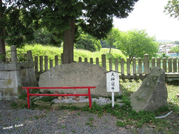 d0287413_858840.jpg