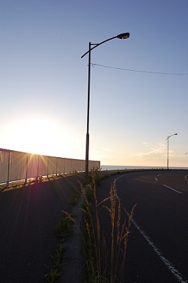 a0114514_228628.jpg