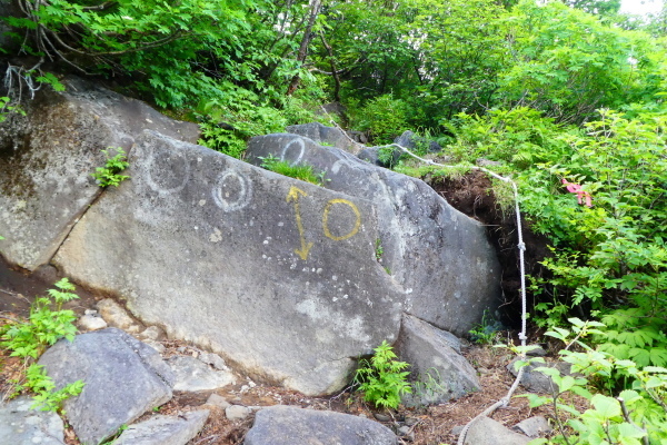 d0170615_09472600.jpg