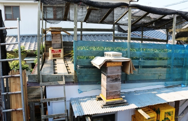 f0176521_09352513.jpg
