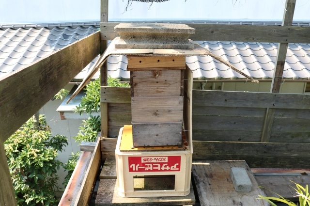 f0176521_09365335.jpg