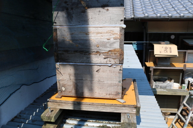 f0176521_09505956.jpg