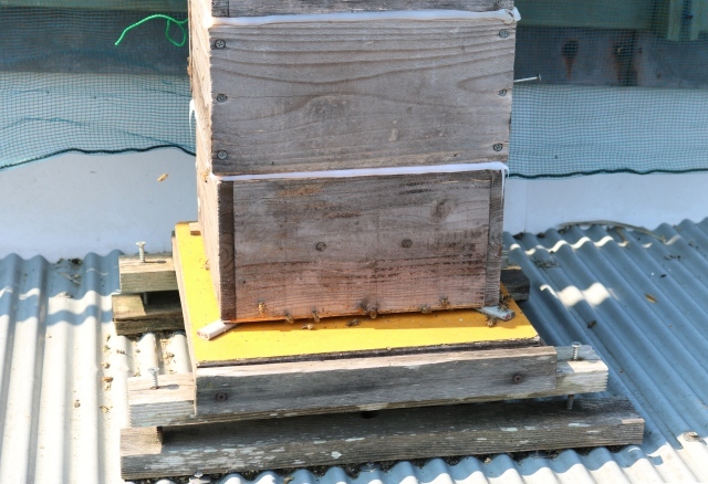 f0176521_10032092.jpg