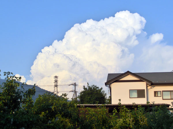 d0066822_12084254.jpg