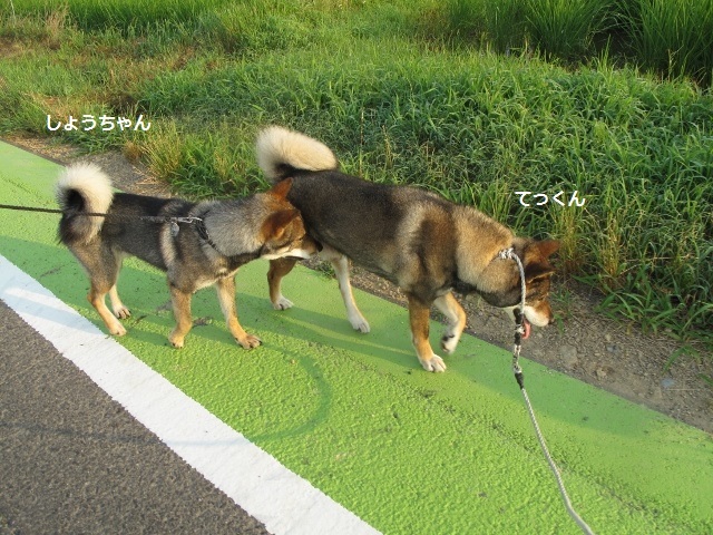 f0143123_08473079.jpg
