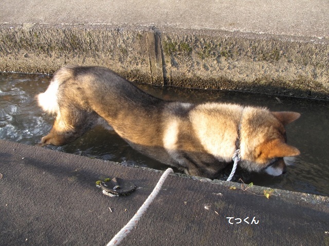 f0143123_08474993.jpg
