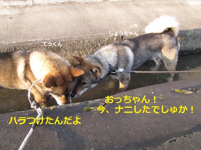 f0143123_08475505.jpg