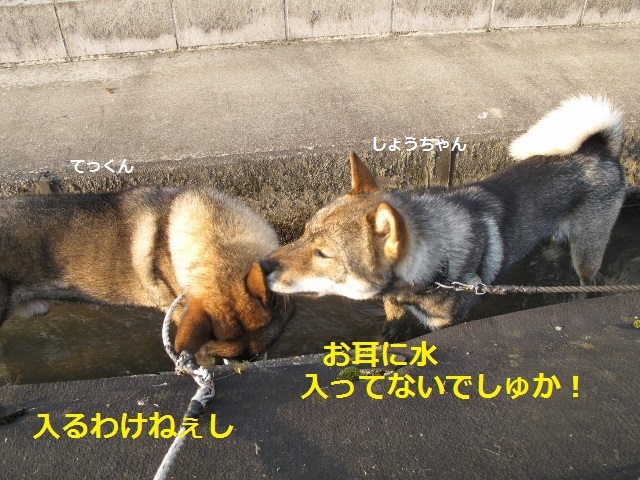 f0143123_08480336.jpg