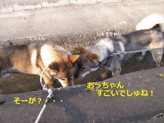 f0143123_08481111.jpg