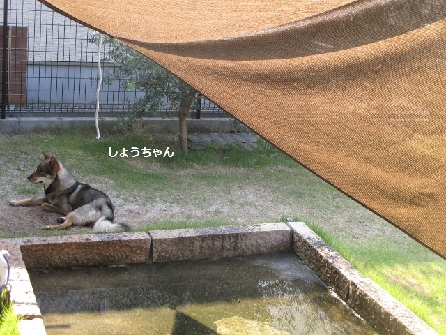 f0143123_08551355.jpg