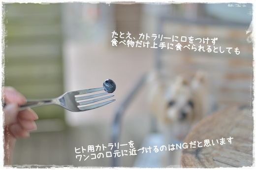 d0179828_09492069.png