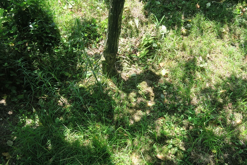 f0076731_21011120.jpg