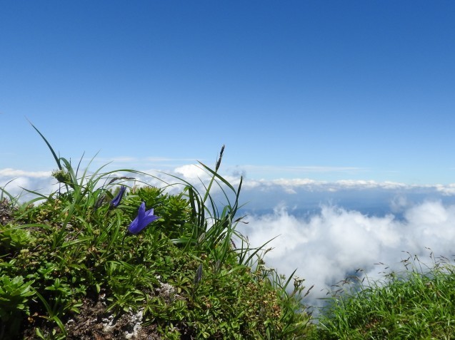 f0118332_22054753.jpg