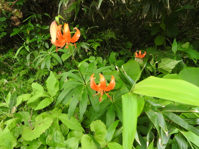 f0118332_22091030.jpg