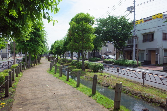 亀有からぶらぶら その4～曳舟川親水公園_a0287336_20165554.jpg