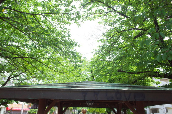 亀有からぶらぶら その4～曳舟川親水公園_a0287336_20174940.jpg