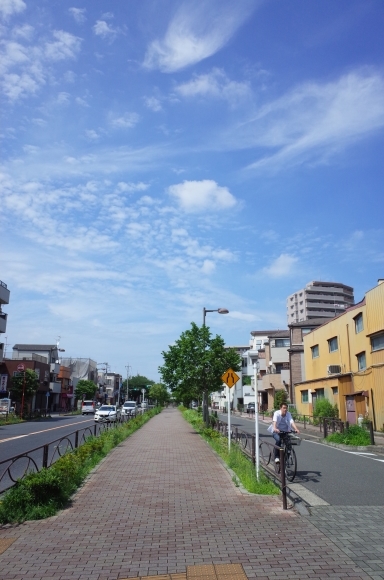 亀有からぶらぶら その4～曳舟川親水公園_a0287336_20192131.jpg