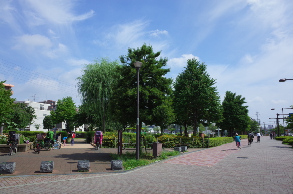 亀有からぶらぶら その4～曳舟川親水公園_a0287336_20192544.jpg