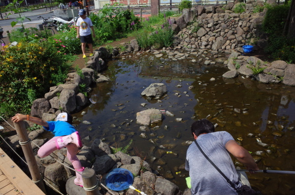 亀有からぶらぶら その4～曳舟川親水公園_a0287336_20193051.jpg