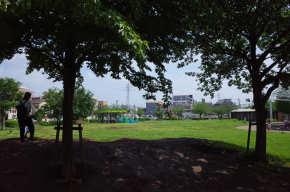 亀有からぶらぶら その4～曳舟川親水公園_a0287336_20193950.jpg