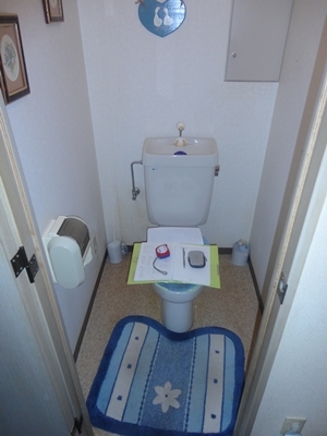 d0178136_13195929.jpg
