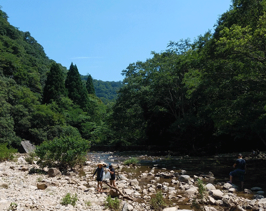 e0371039_9194979.gif
