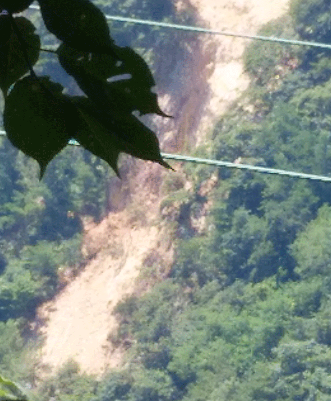 e0371039_9202040.gif