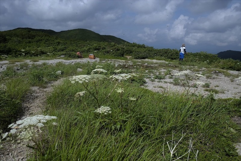 d0347140_12313910.jpg