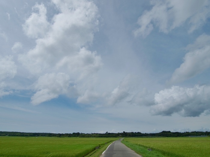 c0281841_14384136.jpg