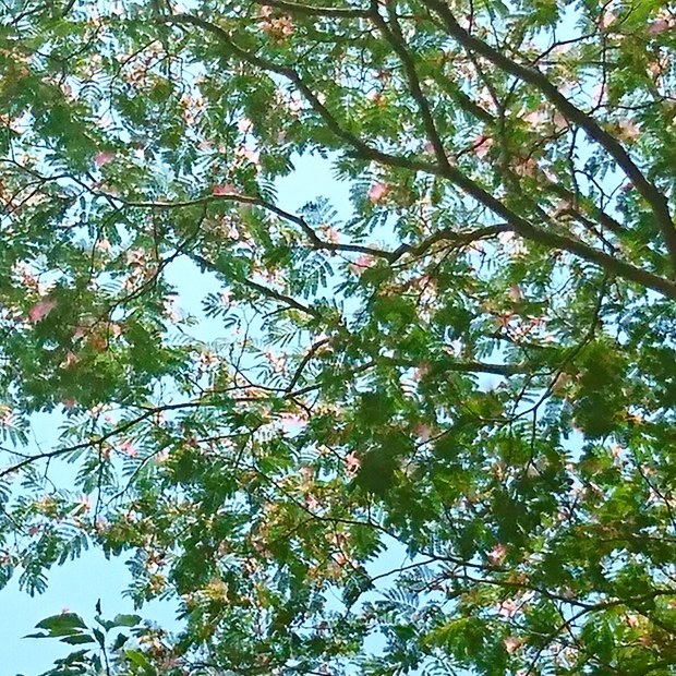 e0145441_23100916.jpg