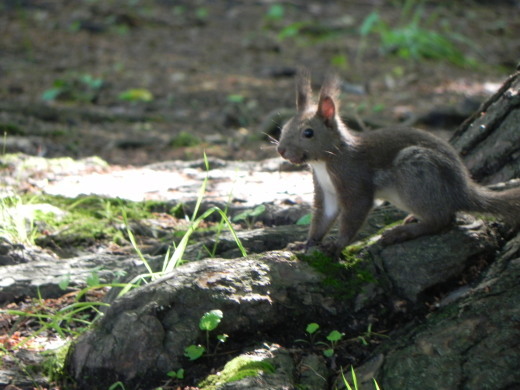 見晴公園だより　晴れ間_e0145841_09464791.jpg