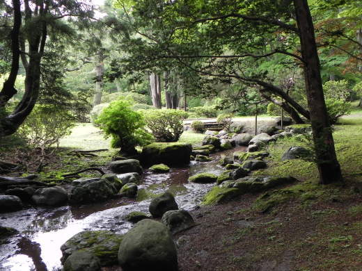 見晴公園だより　晴れ間_e0145841_09541925.jpg